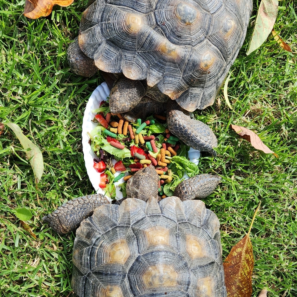 Extra Label - Picture 3 of 8